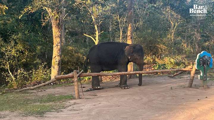 Kerala becomes first State to pass bill to amend Central Wildlife Protection Act
