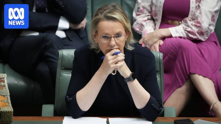 Sussan Ley is Labor's best bet on environmental laws as deal with Greens carries risk