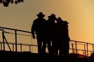 'Hurting us': Ranchers blast 'misguided' Trump in showdown over beef prices
