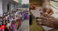 Bihar polls: EC allows 12 alternative documents apart from EPIC for voting; special arrangements for 'purdanasheen'