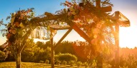 For American Jews, interfaith weddings are a new normal – and creatively weave both traditions together