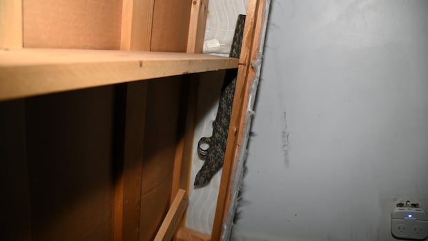 Crown drops jailhouse informant from witness list at Saskatoon murder trial