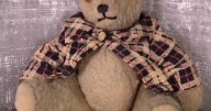 Teddy bear that helped save family from the Holocaust to be displayed in museum