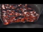 11Alive News: The Take | T he end of the penny (10/24/25)