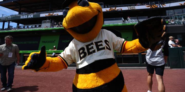 The Baseball Traveler visits the Salt Lake Bees 2025
