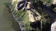 Ohio snake hunts invasive fish, grows 3.5 feet long. See video
