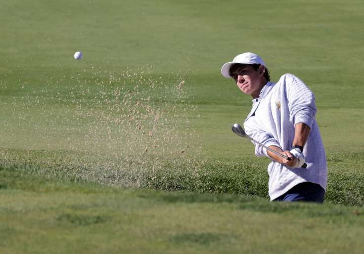 OHSAA boys state golf: St. Ignatius returns to leaderboard, finishes third