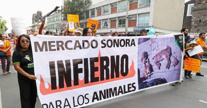 ¿Mercado de Sonora se quedará sin animales?: Alcaldesa adelanta modificaciones en las ventas