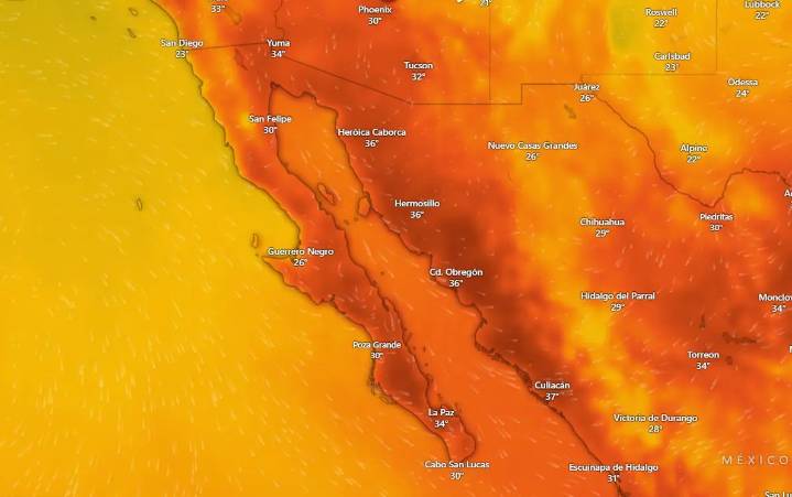 Clima en La Paz y Los Cabos 21 de octubre de 2025