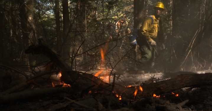 University of Kentucky students gain real-world firefighting experience as 'Fire Cats'