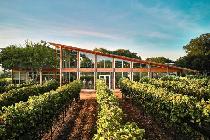 Fredericksburg Food & Wine Festival: Food, wine, and giving back