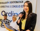 Fuerza del PRD se sumará a alianza no formal a algún candidato, cuando sea el momento: Nohemí Aguilar