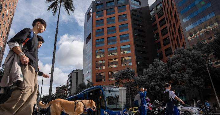 Acciones de Colombia caen tras amenaza de aranceles de Trump: estas son las más afectadas