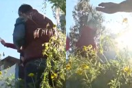 “Vienen a reírse de la gente”: notero de CHV es violentamente increpado durante desalojo de campamento en Placilla