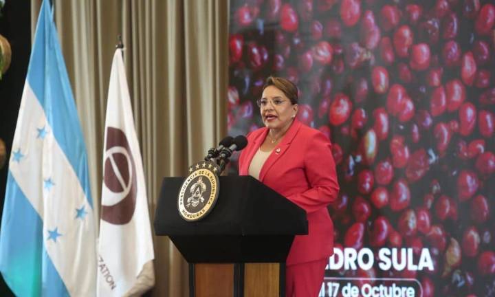Castro propone ante la OIC crear un fondo internacional para la justicia cafetalera