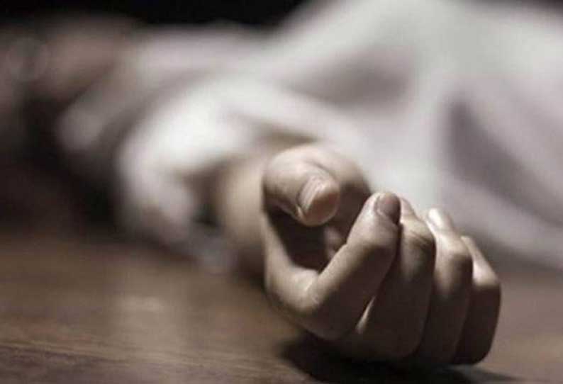 Woman 'kills' twins, dies by suicide in Hyderabad