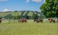 Take fall color trail rides, do a Meet & Feed with horses at this Up North resort