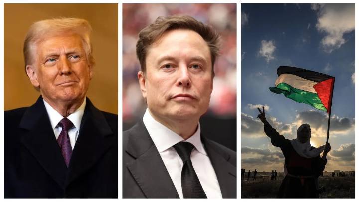 Nobel Peace Prize 2025: Who stands the best chance to win; Trump, Musk, or Palestine activists?