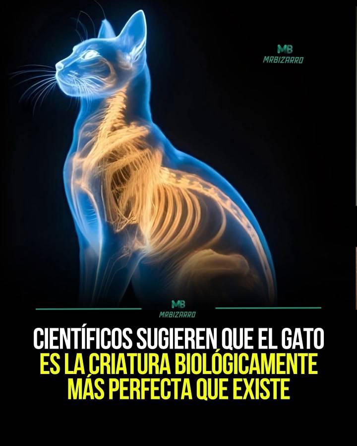 POR EESO LOS EGIPCIOS LOS AMABAN!!! 