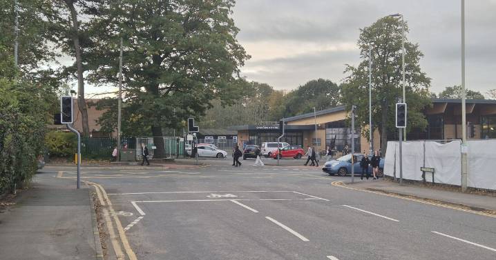 Residents complaining for years about faulty traffic lights outside schools