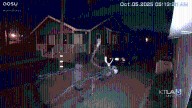 Thief seen on video stealing gigantic Jack Skellington animatronic