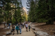 Yosemite National Park hit with wave of illegal activity during shutdown