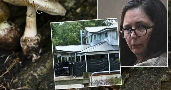 Why prosecutors are appealing Erin Patterson's sentence