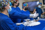 Presentarán estudiantes de la UACJ investigaciones en áreas de medicina