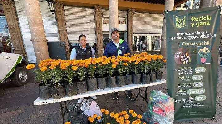 Recicla y Gana: Intercambia tus residuos por flores de Cempasúchil completamente gratis