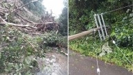 Informa Protección Civil cierre de la carretera Valle Nacional
