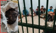 11 Poachers Nabbed With 800 Dead Bats in Athagarh