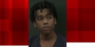 Second man accused of hitting, killing retired police chief enters plea agreement