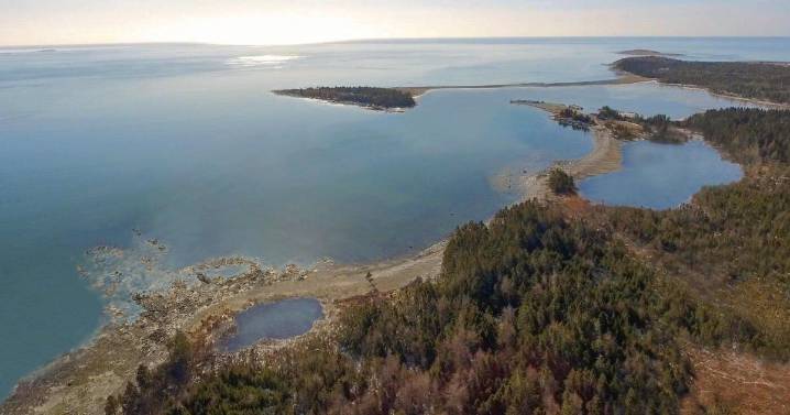 Five things about Nova Scotia's decision to approve Whale Sanctuary Project