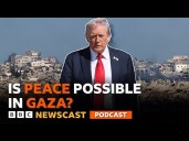 Will Trump's peace plan work?