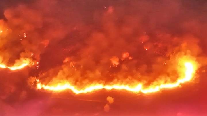 San Martín: Incendio forestal devora 25 hectáreas en Rumisapa, rápida acción evitó una tragedia mayor