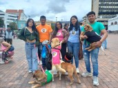 Marcha por los Animales en Pasto: Un Grito Contra el Maltrato y a Favor del Bienestar Animal