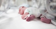Tragedia en hospital: siete bebés mueren por contagio de peligrosa bacteria
