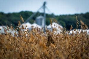 US farmers hit by trade war to get ‘substantial’ aid: Treasury chief