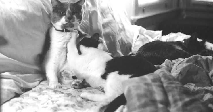 Notes From Home: Relationships Matter