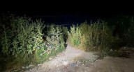Encuentran niña de 4 años muerta dentro de una bolsa de plástico en Tlajomulco, Jalisco