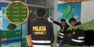 Prometían ganancias por “sembrar árboles digitales”: la estafa ecológica que afectó a familias en siete regiones del Perú