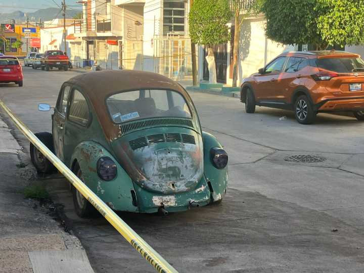 BALEAN A HOMBRE EN JARDINES DE JEREZ