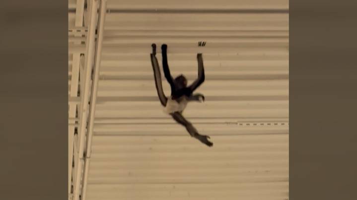Boo! A monkey gets loose in Spirit Halloween. See video.