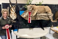 Victory Wildlife Artistry In Casper Shares Tips For After The Hunt