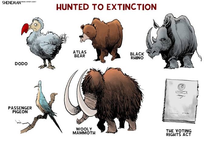 Cartoon: Hunted to extinction