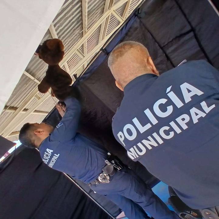 Fomentan valores cívicos con Teatrino en preescolares