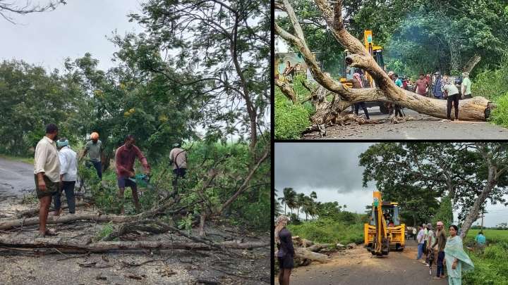 Andhra reels as Cyclone Montha makes landfall; vehicle movement banned till Wednesday