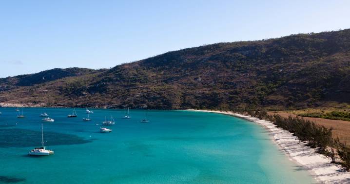 Cruise Ship Passenger, 80, Dies After Getting Lost on Deserted Island