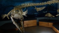 ‘Monsters of the Abyss’, Table Tennis tournament, and Greek Festival: 12 things to do this week