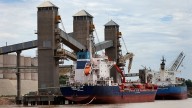 Con subas de hasta 91%, las exportaciones de cereales llegaron a 38,4 Mt y US$ 8621 millones